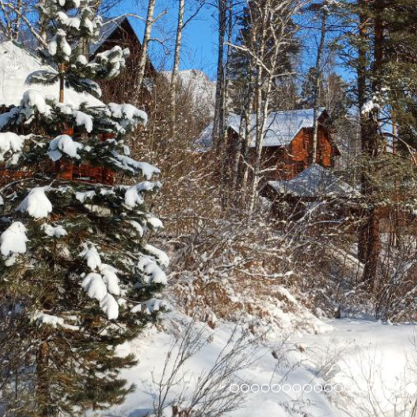 Хутор Кедровый на "Зеленом острове"