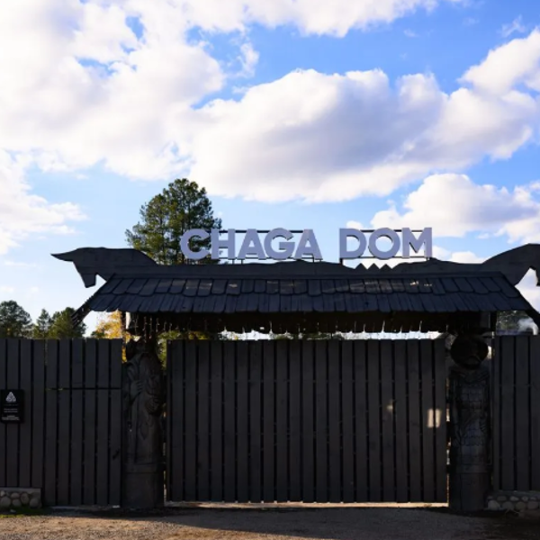 Чага дом